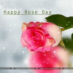 Rose Day – greeting cards free