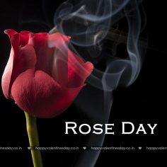 Rose Day