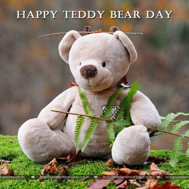 Teddy Day Valentine 132