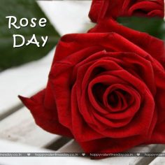 Rose Day – happy valentines day qoutes