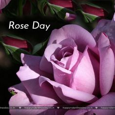 Rose Day – free e greeting cards
