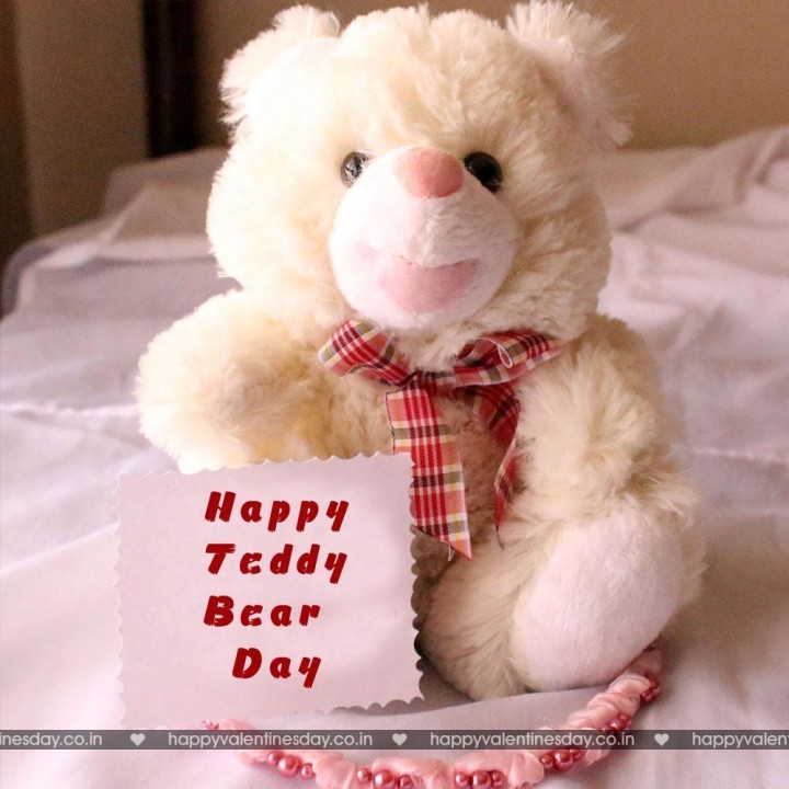 Teddy Day Valentine 96