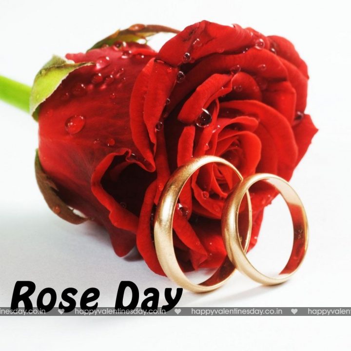 Rose Day