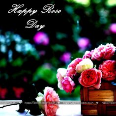 Rose Day