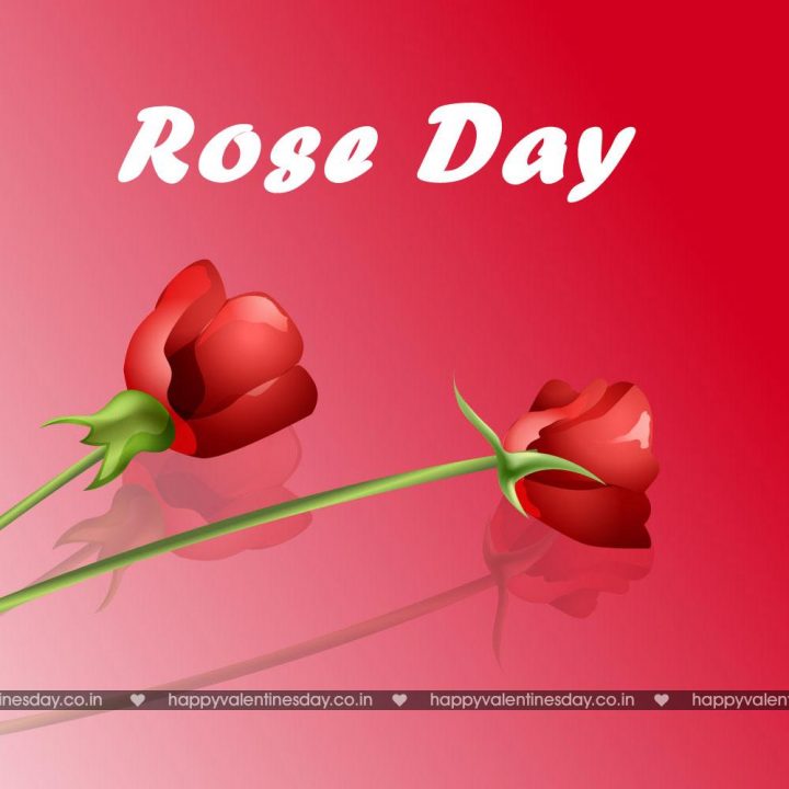Rose Day