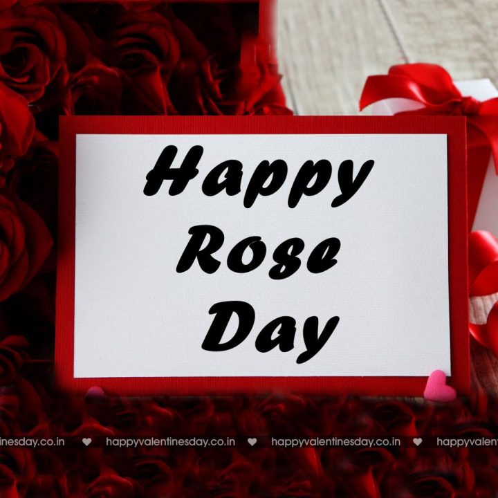 Rose Day