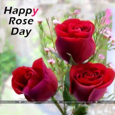 Rose Day