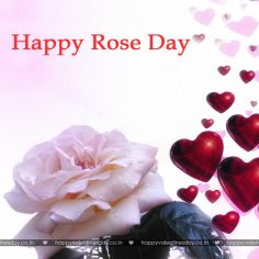 Rose Day – happy valentines day backgrounds