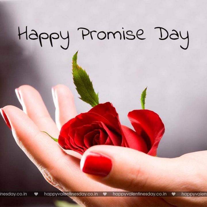 Promise Day – funny ecards | Happy Valentines Day Greetings | Happy  Valentines Day Messages | Happy Valentines Day Gifts | Happy Valentines Day  Wallpapers | Valentines Day SMS