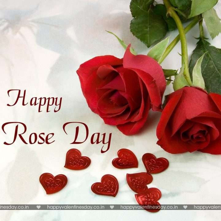 Rose Day – online valentine cards