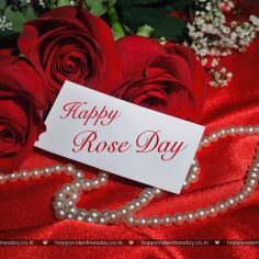 Rose Day – happy valentines day greeting cards