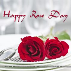 Rose Day – happy valentines day to my friends