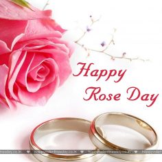 Rose Day – happy valentine day my love