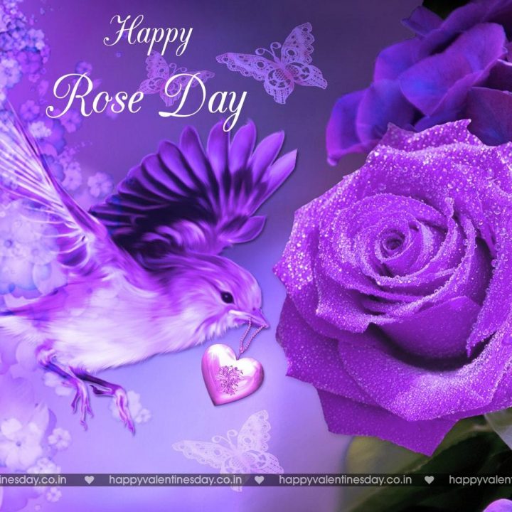 Rose Day – free valentine ecards