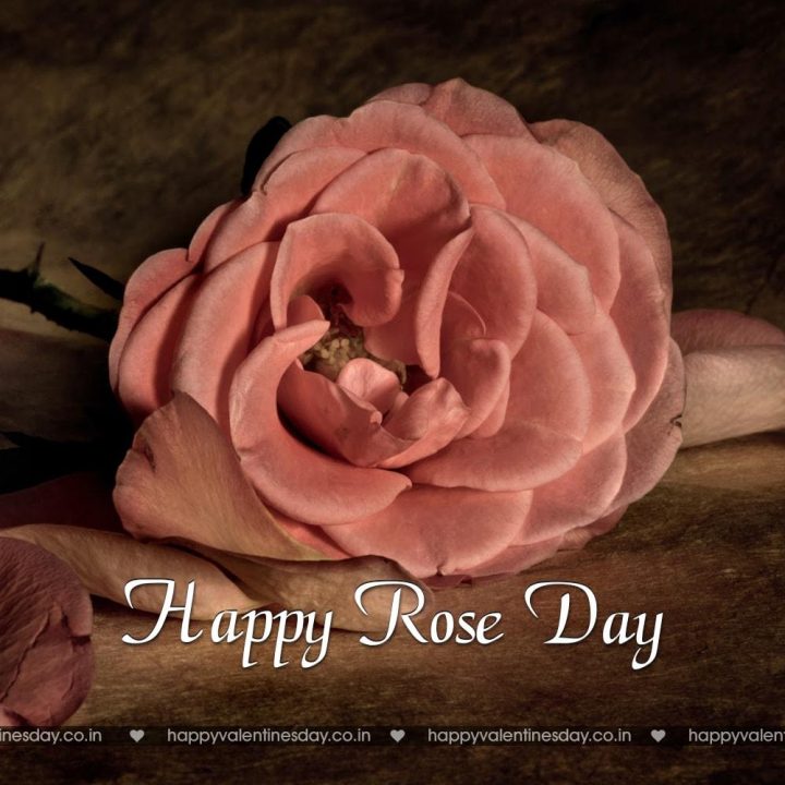 Rose Day – free ecards for kids