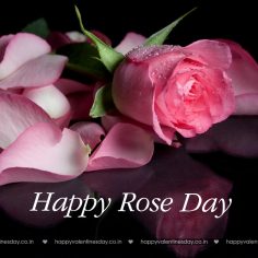 Rose Day – free ecards for valentines day