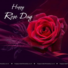 Rose Day – new year cards