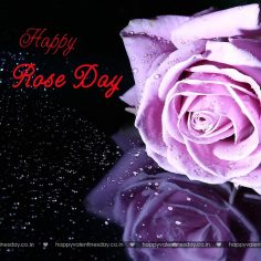 Rose Day – happy valentines day jokes
