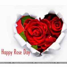 Rose Day – valentines day images free download