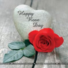 Rose Day – free happy valentines day images