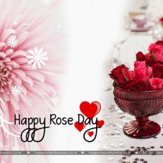 Rose Day – happy valentine day messages