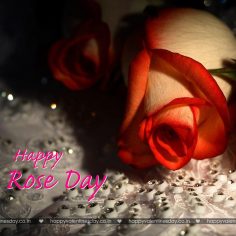 Rose Day – valentine card