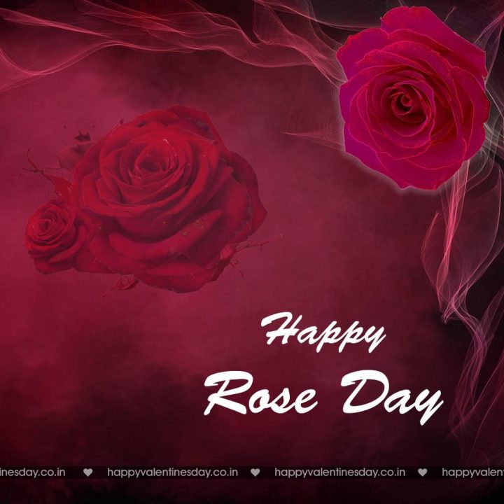 Rose Day – happy valentine day images download