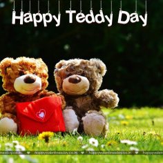 Teddy Day – valentines e cards