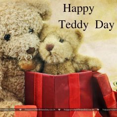 Teddy Day – happy valentines day greeting cards