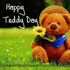 Teddy Day – happy valentines day heart